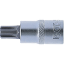 PUNTA DE VASO RIBE M12 | 1/2"