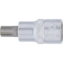 PUNTA DE VASO RIBE M10 | 1/2"