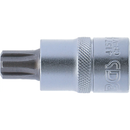 PUNTA DE VASO RIBE M13 | 1/2"