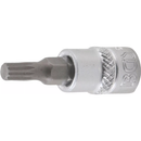 PUNTA DE VASO XZN M5 | 1/4"