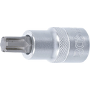 PUNTA DE VASO RIBE M10 | 1/2"