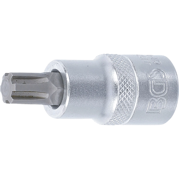 PUNTA DE VASO RIBE M10 | 1/2"