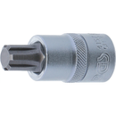 PUNTA DE VASO RIBE M13 | 1/2"