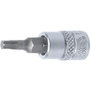 PUNTA DE VASO TORX T20 | 1/4"