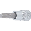 PUNTA DE VASO TORX T35 | 1/4"