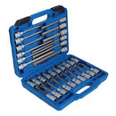 ESTUCHE DE PUNTAS PARA TORNILLOS TORX 32 PIEZAS