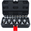 JUEGO DE PUNTAS Y VASOS TORX / E-TORX | 1/2" | 19 PCS